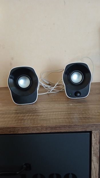 Haut-parleur pour ordinateur 