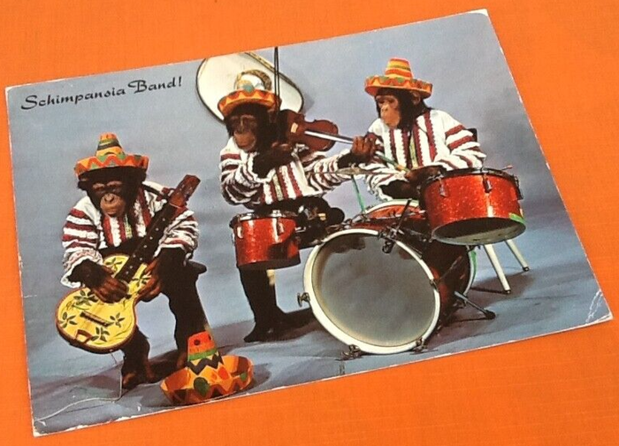 Carte postale Zurich (Suisse) Schimpansia Band ! (1974)