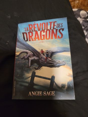 La révolte des dragons