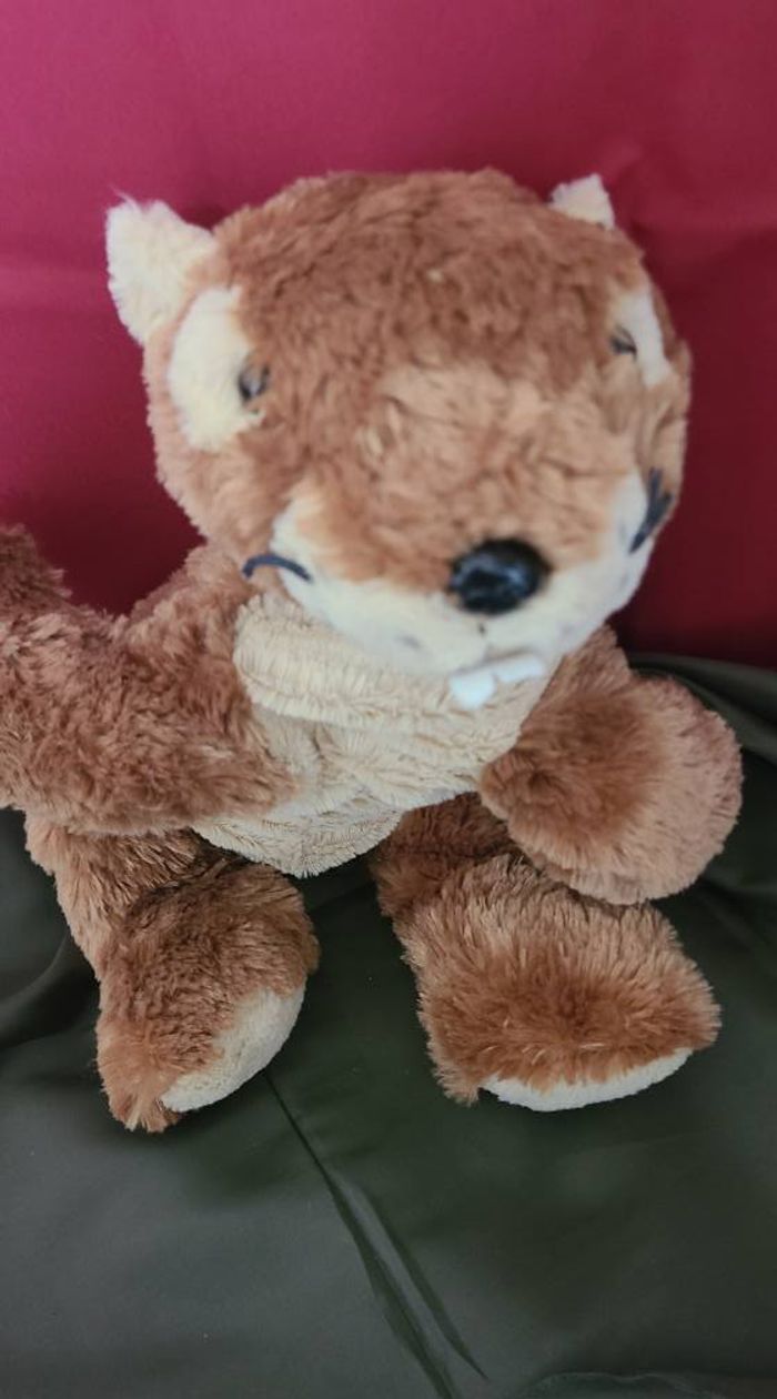 doudou marmotte PACO diffusion sart - photo numéro 6