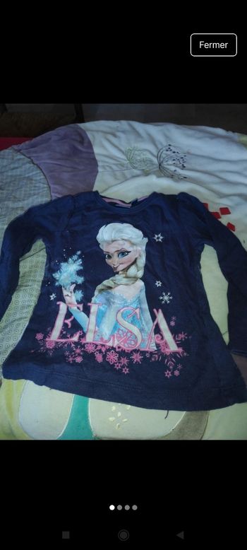 Haut reine des neiges e85
