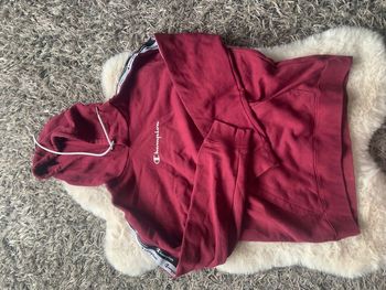 Pull champion homme enfant M bordeaux 