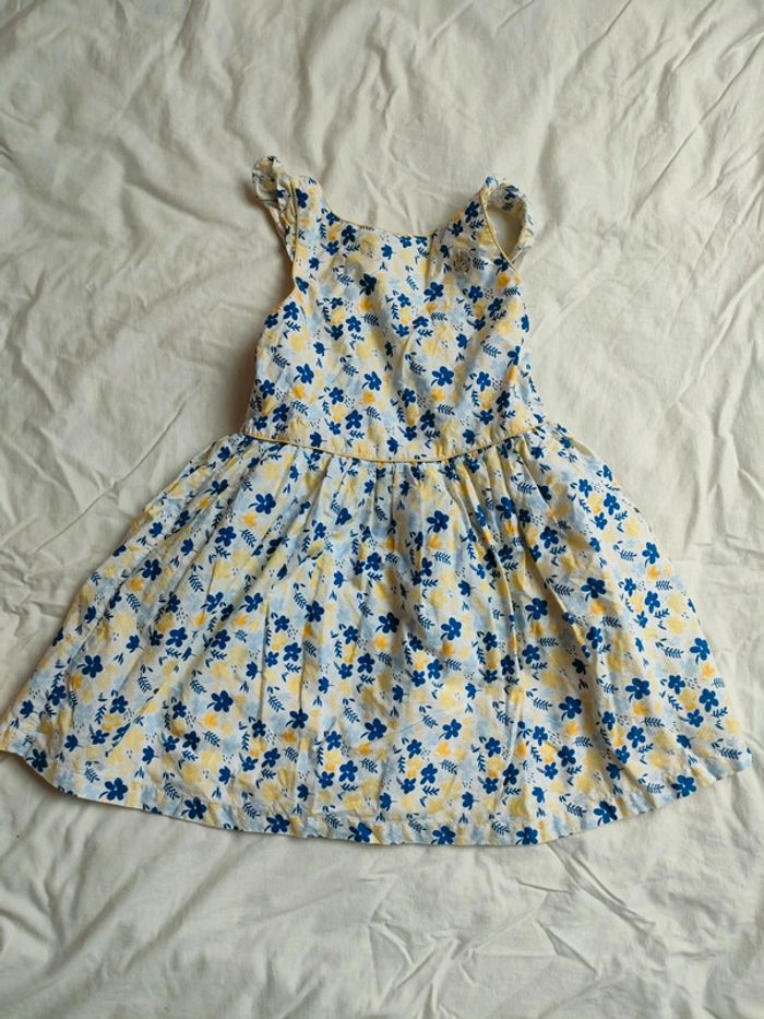 Robe l'œuf d'or Sergent Major