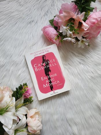 Livre " En finir avec monica"