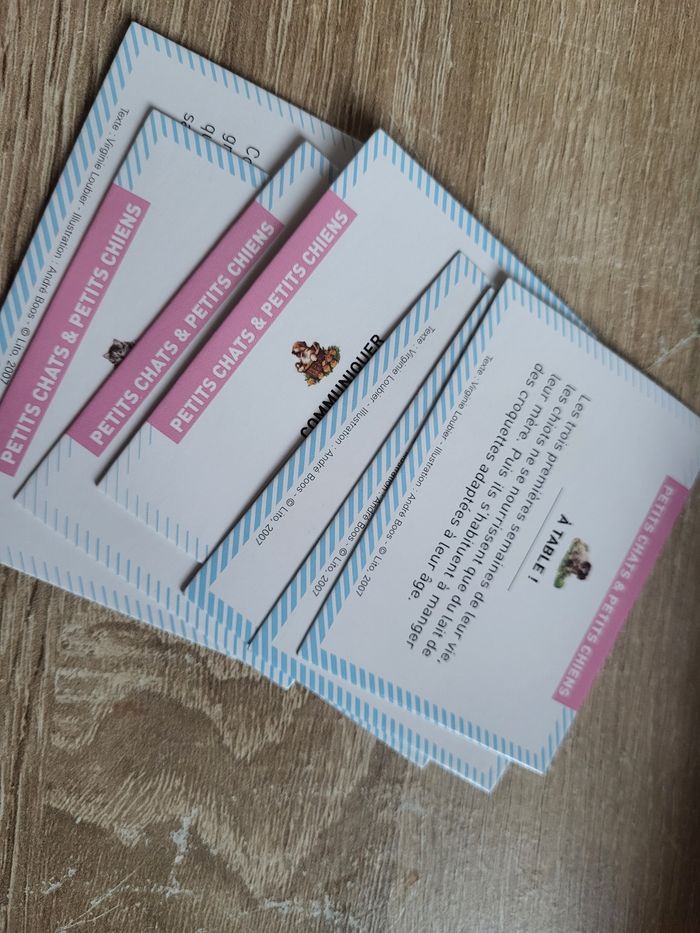 Carte de jeux - photo numéro 2
