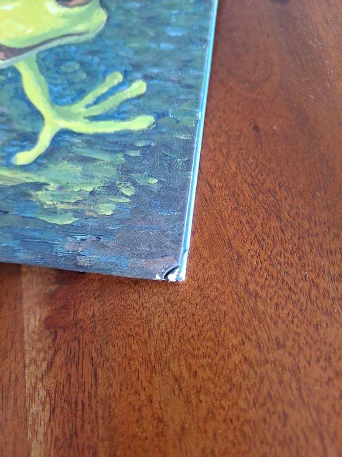 Livre Drôles de Petites Bêtes, Juliette la Rainette - photo numéro 2