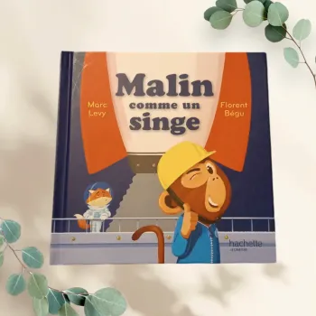 Livre Mac Do " C'est comme ça ! " Malin comme un singe.