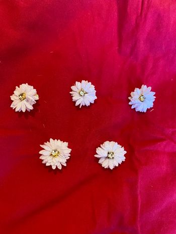 5 petites pinces à cheveux 