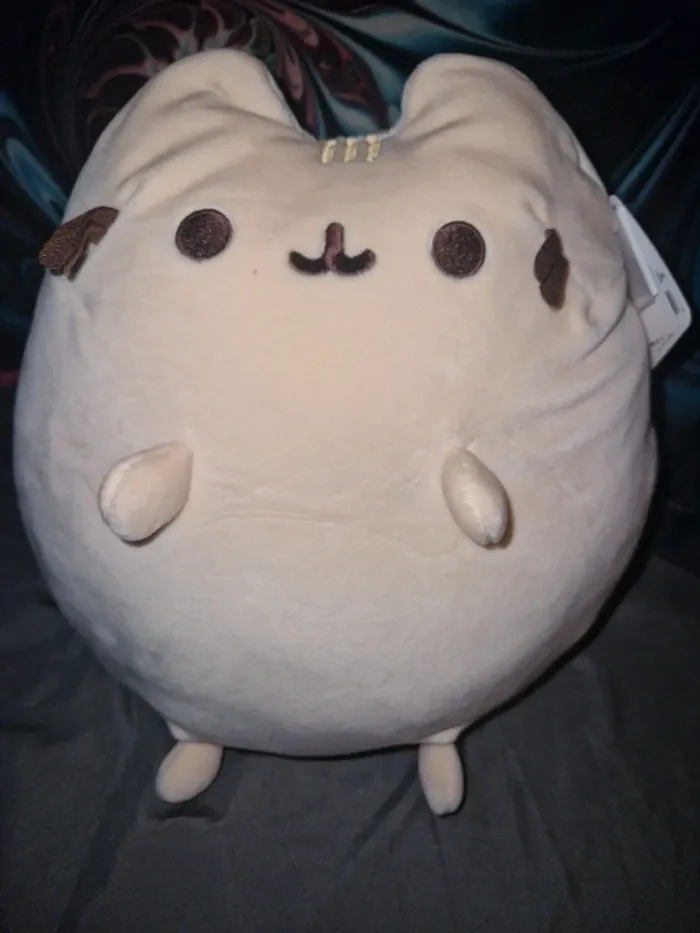 Peluche pusheen