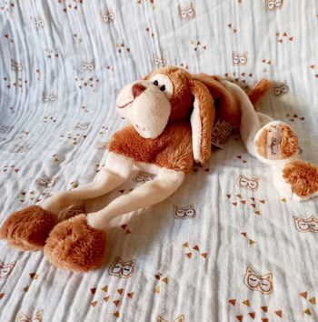 Doudou chien Bukowski