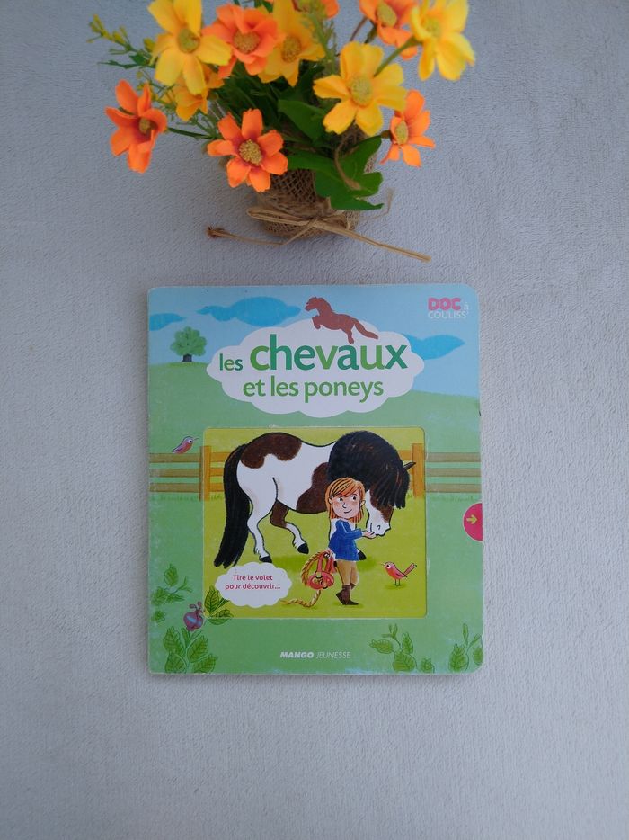 Livre Les chevaux et les poneys Mango