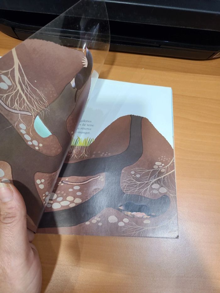 Cache cache le monde sous terre - photo numéro 17