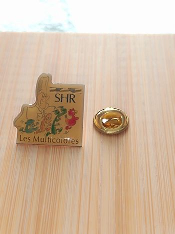 Pin's SHR💛Les multicolores