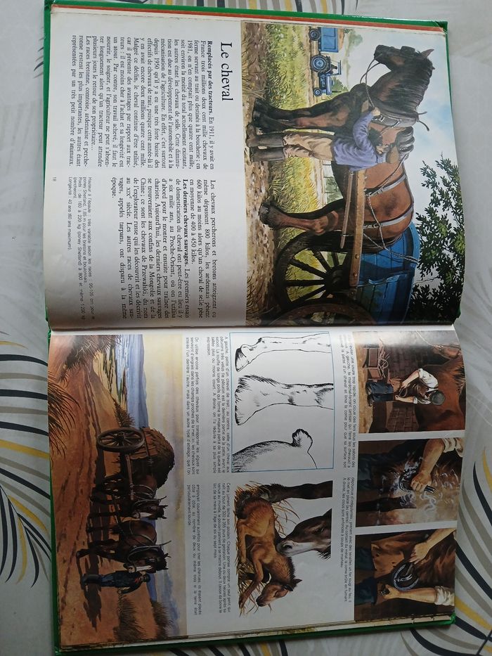 Livre A la ferme - photo numéro 3