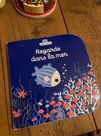 Livre Regarde dans la mer Nathan