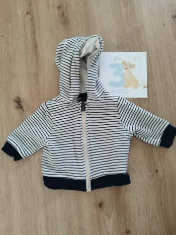 Sweat à capuche marinière et polaire