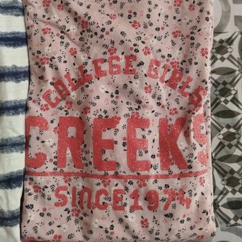 Lot de 2 tee shirt Creeks