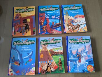 Lot de 6 livres la cabane magique