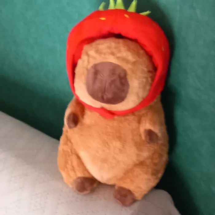 Peluche Capybara