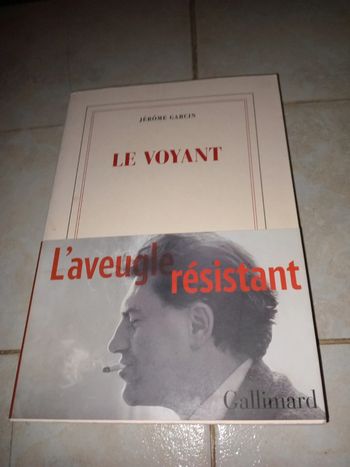 Jérôme garcin : le voyant