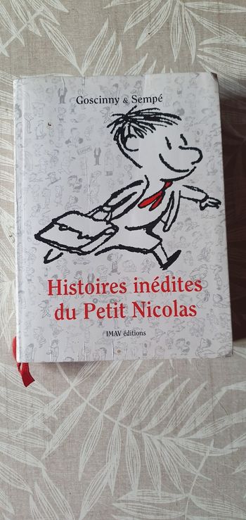 Dictionnaire petit Nicolas