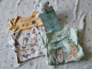 Lot 3 bodies simba