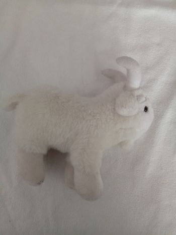 Peluches boc 