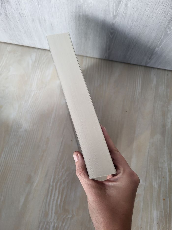 Roman thriller Mademoiselle Lobel - photo numéro 3