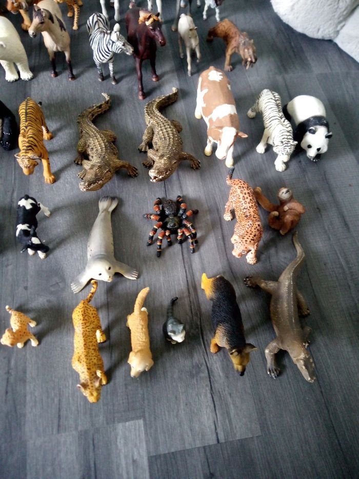 Lot animaux - photo numéro 3