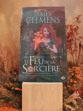 Livre "Le feu de la sorcière" 🔥