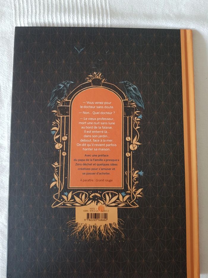 BD Lucien et les mystérieux phénomènes Tome1 - photo numéro 2