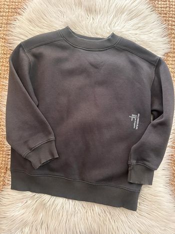 Garçon 👦🏻 sweat gris anthracite zara taille 9 ans