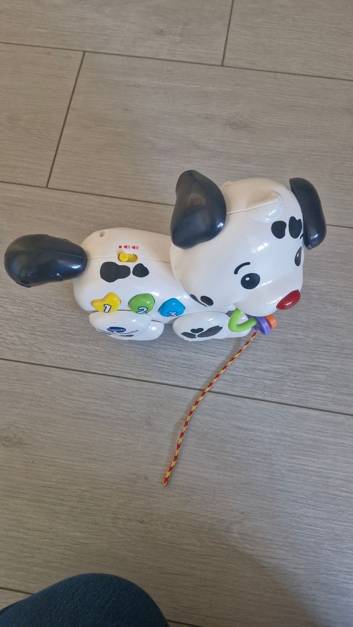 Dalmatien à tirer (sons et lumiere) - photo numéro 4