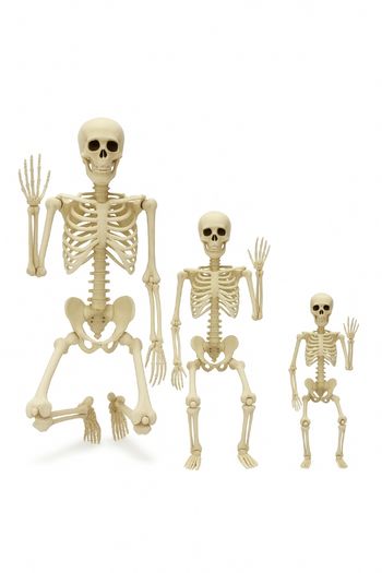 Lot fe 3 squelettes halloween