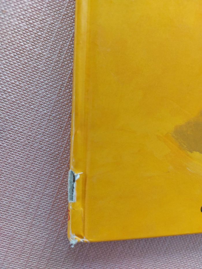 Livre Benjamin le Lutin - photo numéro 3