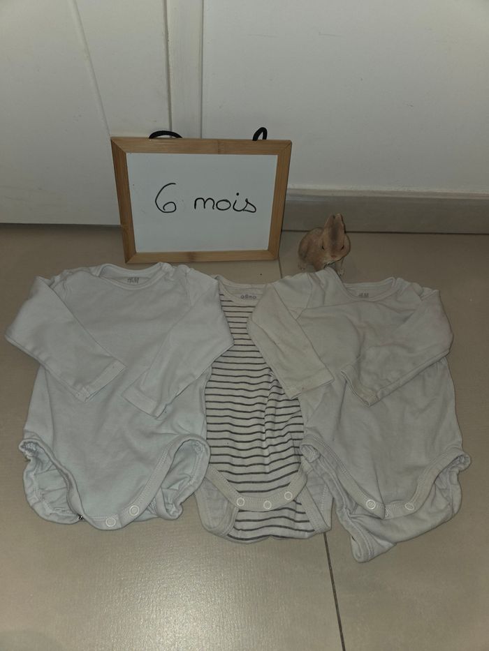 Lot 6 bodies - photo numéro 2