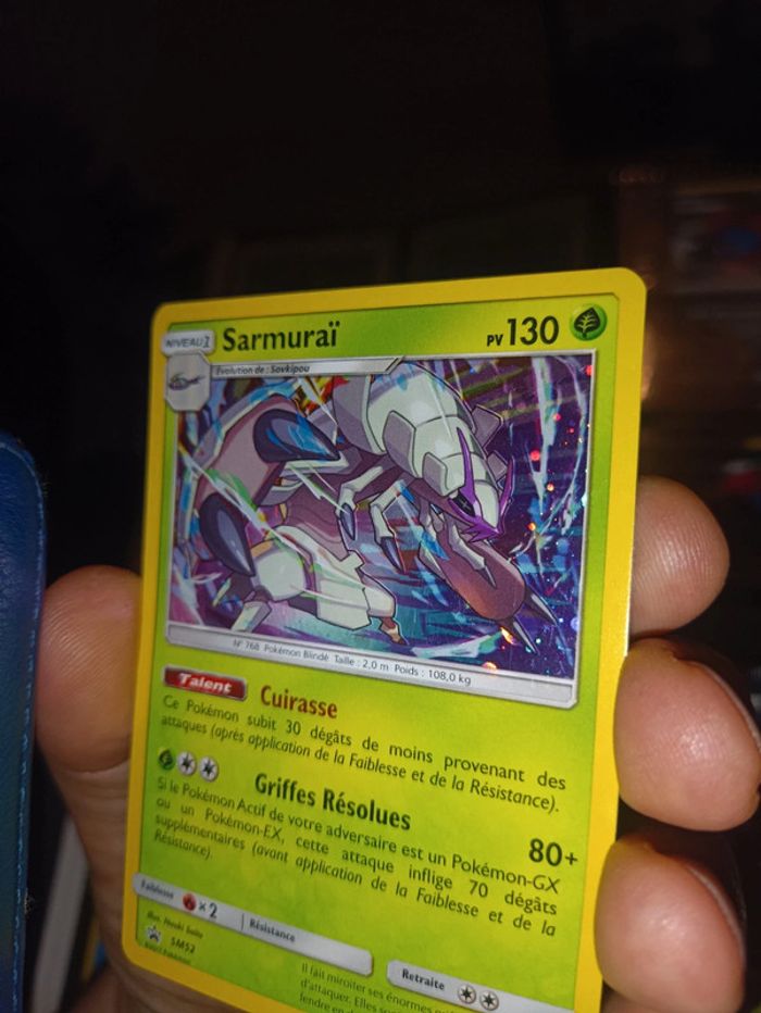 Sarmuraï - photo numéro 3