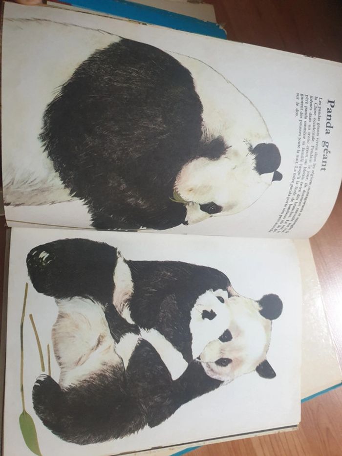 Lot de livres - photo numéro 8