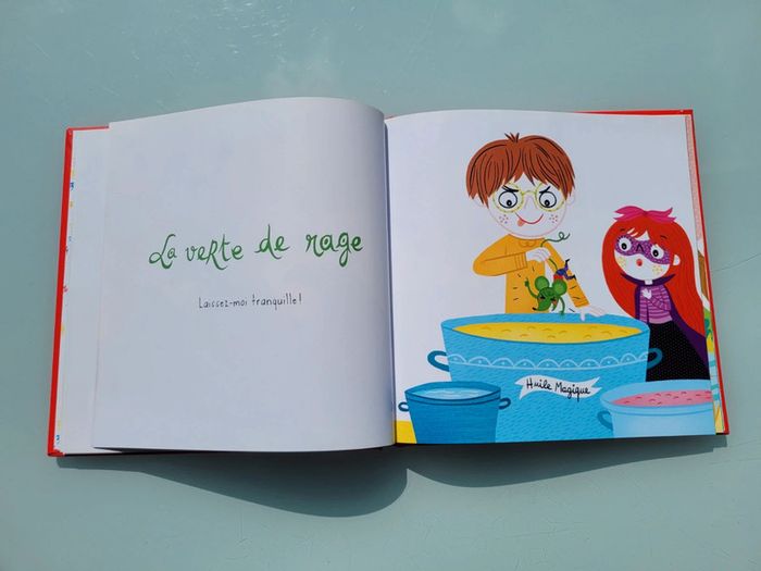 Livre couverture mousse Le Catalogue des Colères 😡, caprices et autres petits boudins.. 52 - photo numéro 6