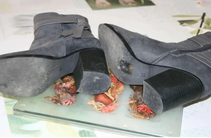 bottines - photo numéro 3