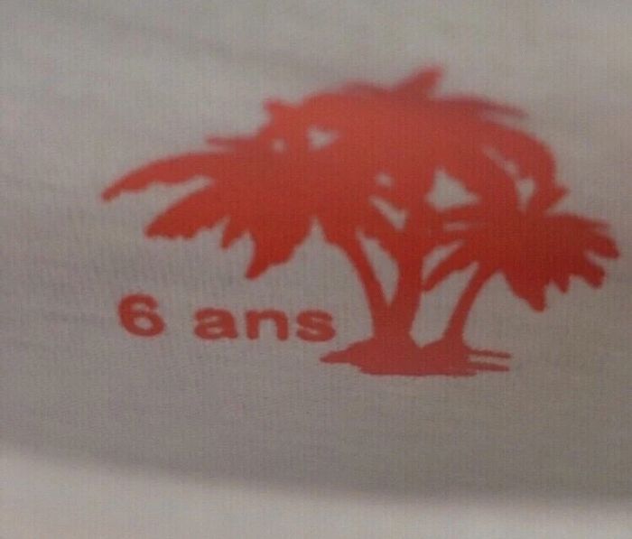 Tee shirt garçon T6ans neuf avec étiquette - photo numéro 3