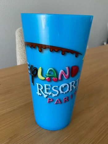Disneyland Paris neuf 16 cm 500 ml