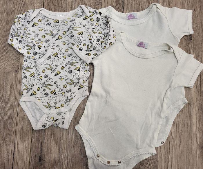 Bodie looney tunes - photo numéro 2