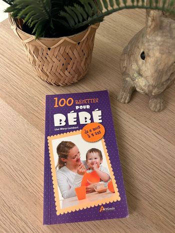 Livre 100 recettes pour bébé