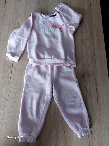 Ensemble Puma