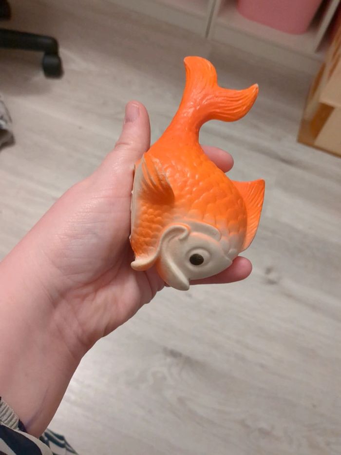 Poisson - photo numéro 6