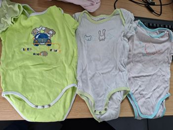Lot 4 bodys manches courtes 24 mois