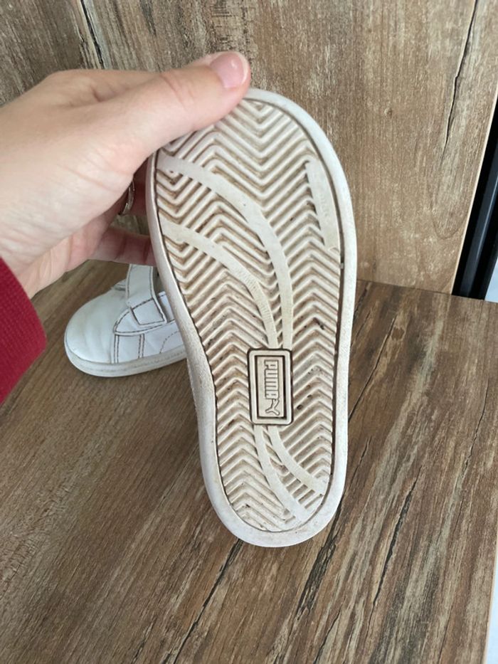 Puma taille 25 - photo numéro 3