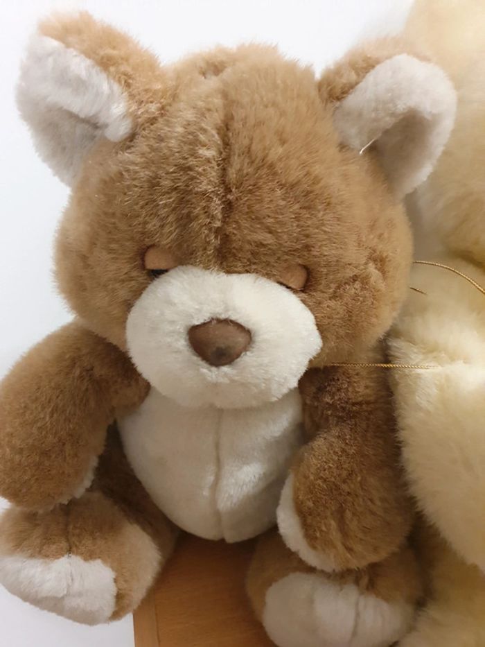 ours en peluche 🐻 - photo numéro 13