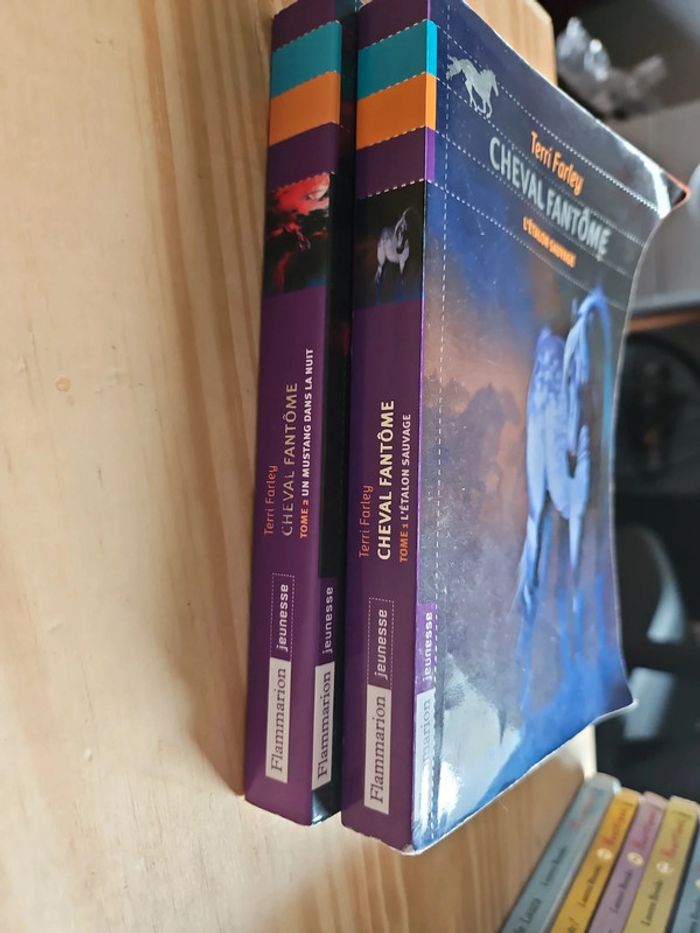 Livre cheval - photo numéro 3